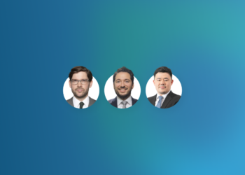 Full, Partial or Plausibility Review? – Public Policy and the Level of Scrutiny Applied by German Courts